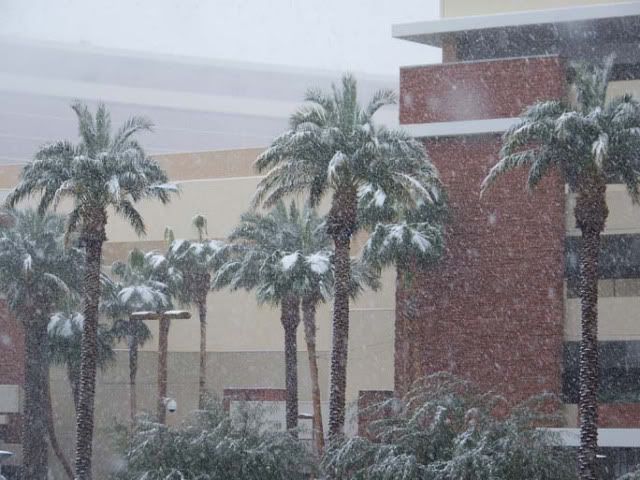 LVsnow.jpg