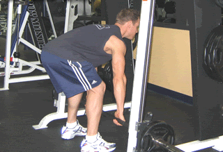 Smith-Machine-Rows Smith Machine Rows