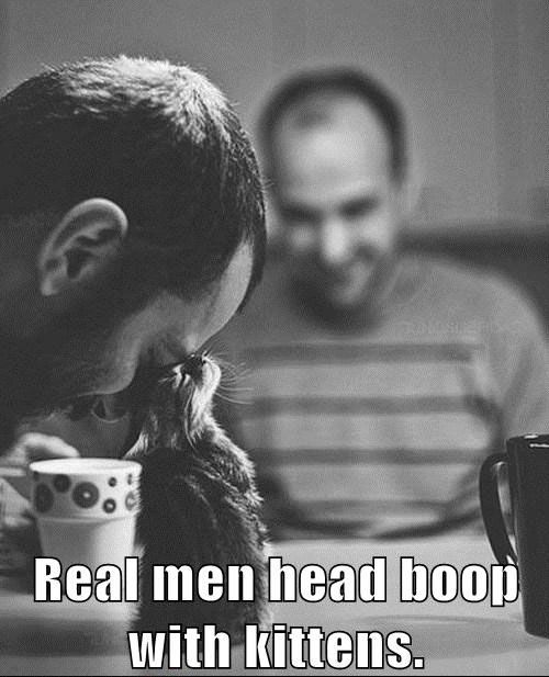 Real-men-head-boop-with-kittens.jpg