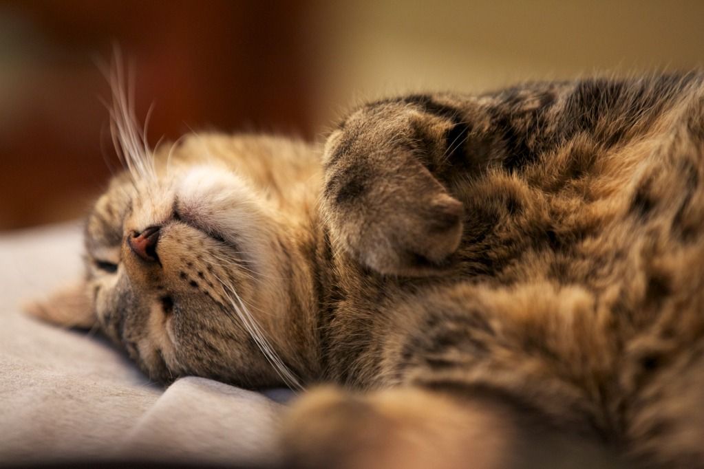 IMAGE: http://i239.photobucket.com/albums/ff206/hartwedb/2012-08-18at12-13-09.jpg