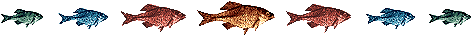 56.gif picture by riaRIJKERS2