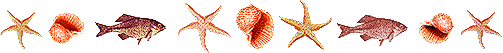 58.gif picture by riaRIJKERS2