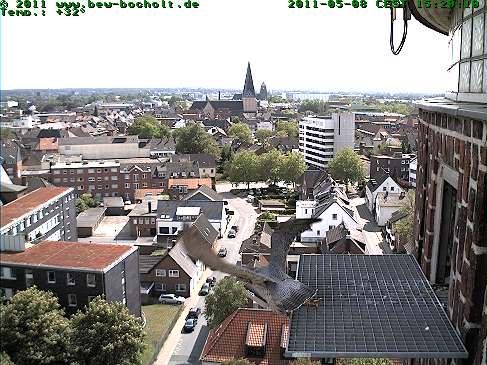 Bild