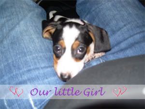 Photobucket Image Hosting
