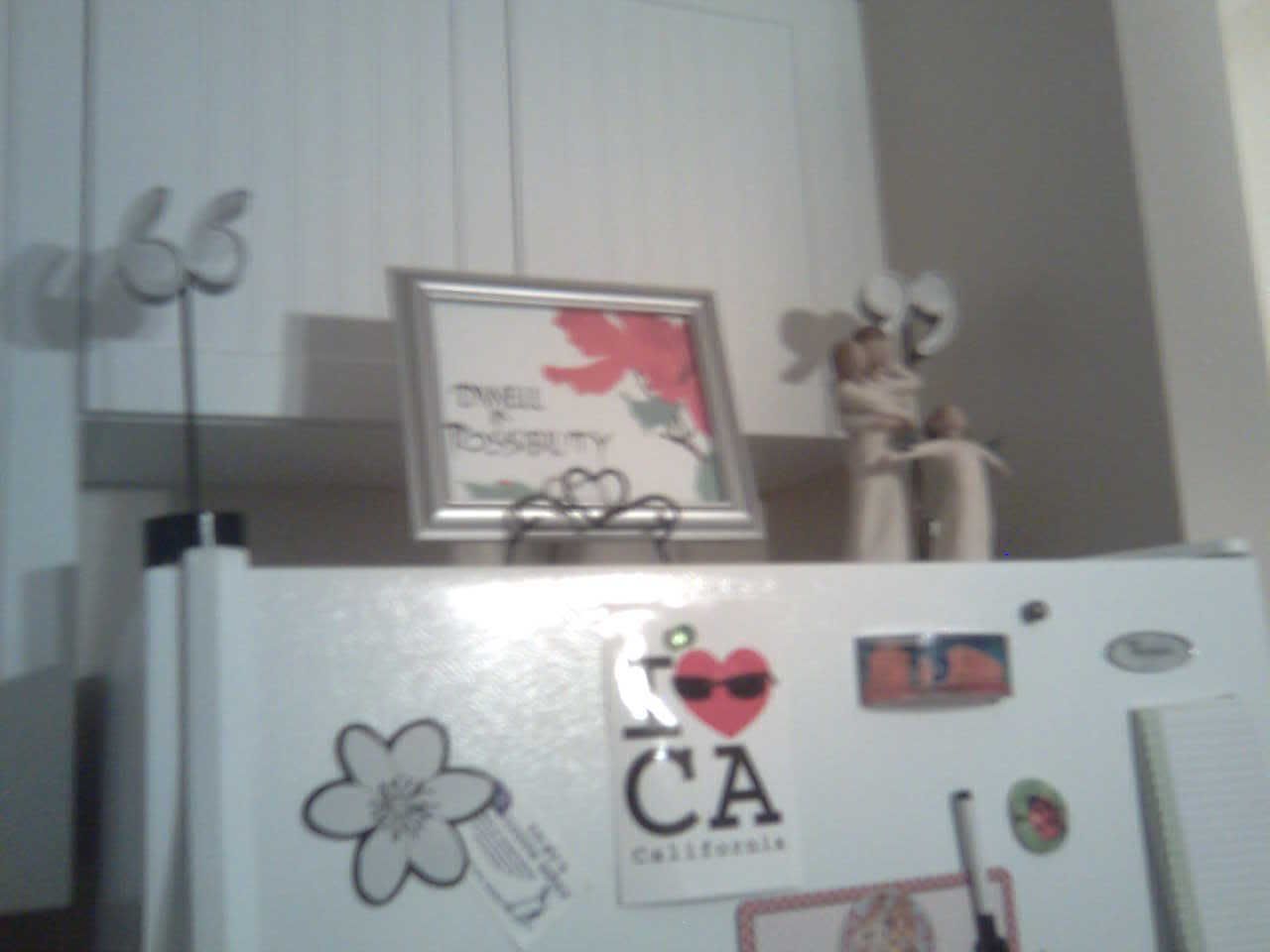 top of the fridge