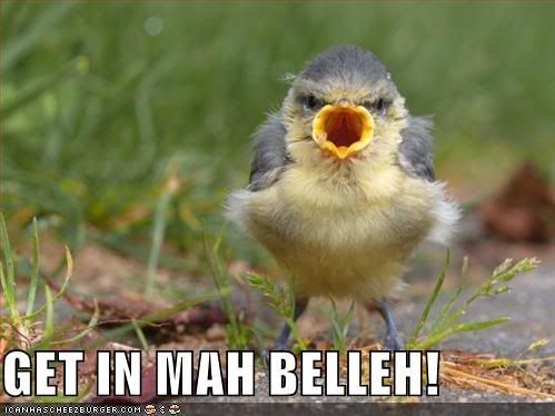 funny bird. funny-pictures-ird-mouth-