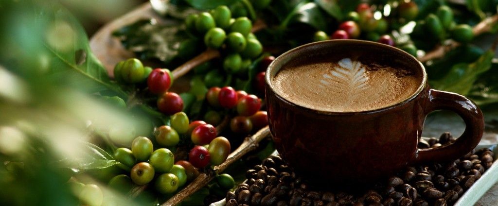 photo coffeeandberries_zpsd1ia9re4.jpg