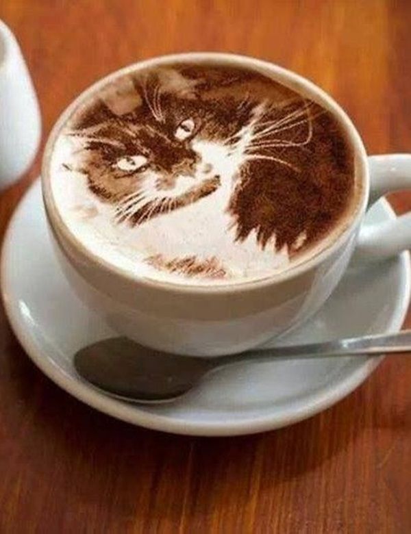 photo tuxedocatcoffee_zpskjgv3xhv.jpg
