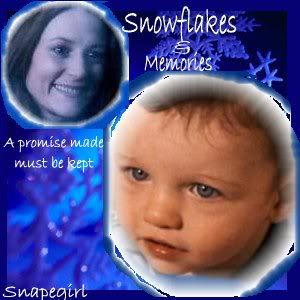 SM1.jpg Snowflakes and Memories picture by aristasnape