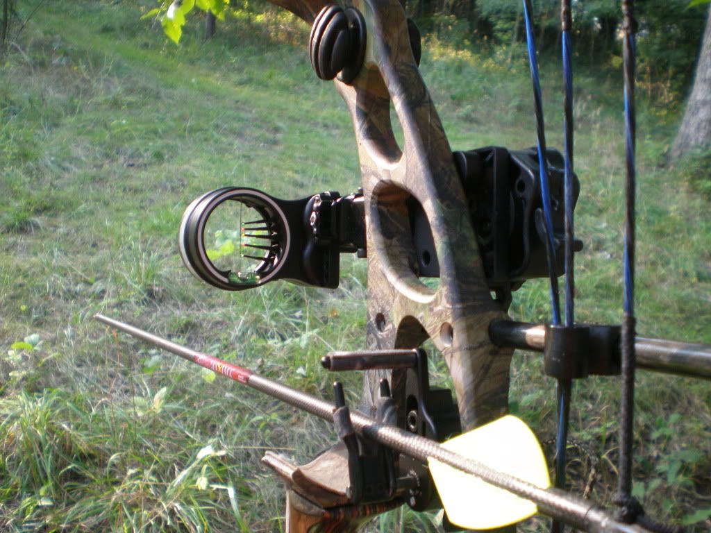 Hoyt Katera 6070lbs, 29 inch draw. 375!! Indiana Sportsman Forum