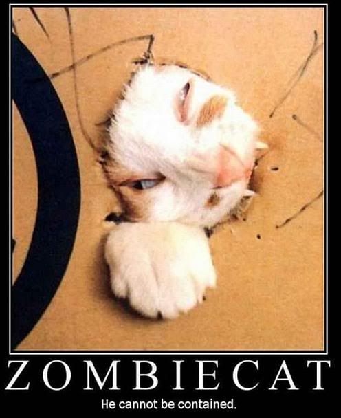 Zombie_Cat.jpg