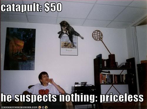 catapult50h128571755008225315.jpg