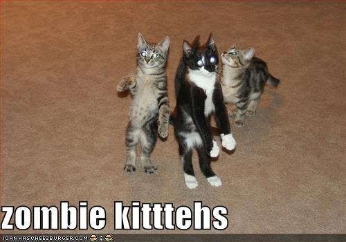 zombiekittens.jpg