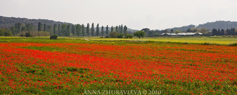 журнал о фотографии и о любви... - Photobucket