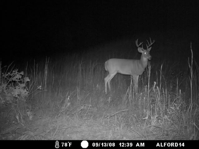 deerpics9-16-2008063-1.jpg