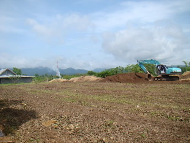 DSC01520.jpg