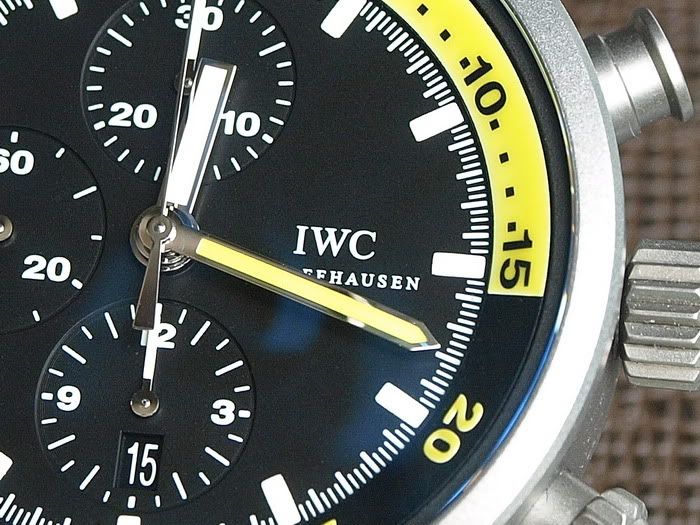 P8151773.jpg