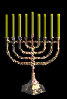 menorah Pictures, Images and Photos