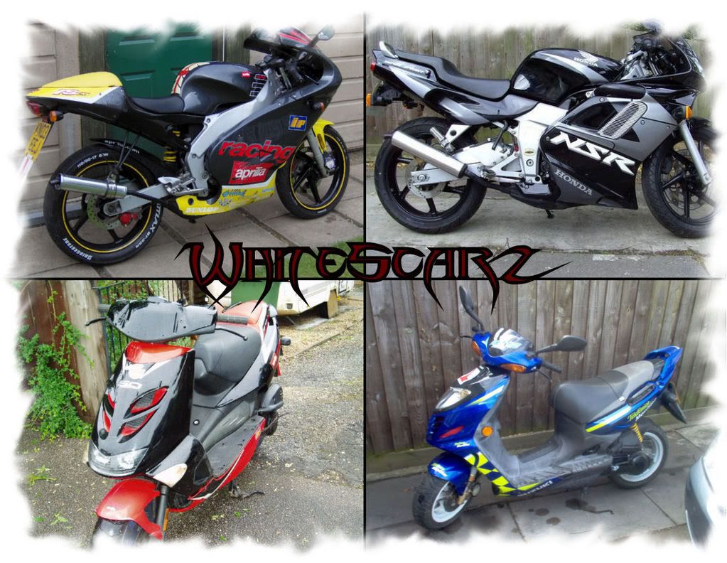 [Image: whitescarz.jpg]