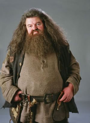 Rubeus Hagrid Pictures, Images and Photos
