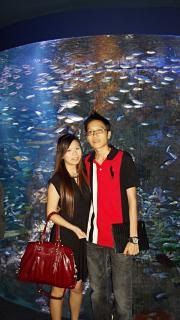 Aquarium photo SAM_0529.jpg