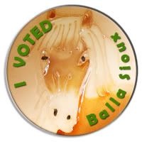 Vote Balla Sioux for Nokota Mayor