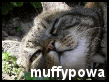 image: muffy