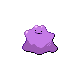 ditto_hgss.png