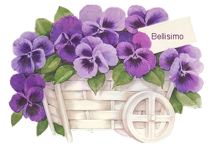  pansies_in_cart_ym-Prac2_zps1bed440f.png