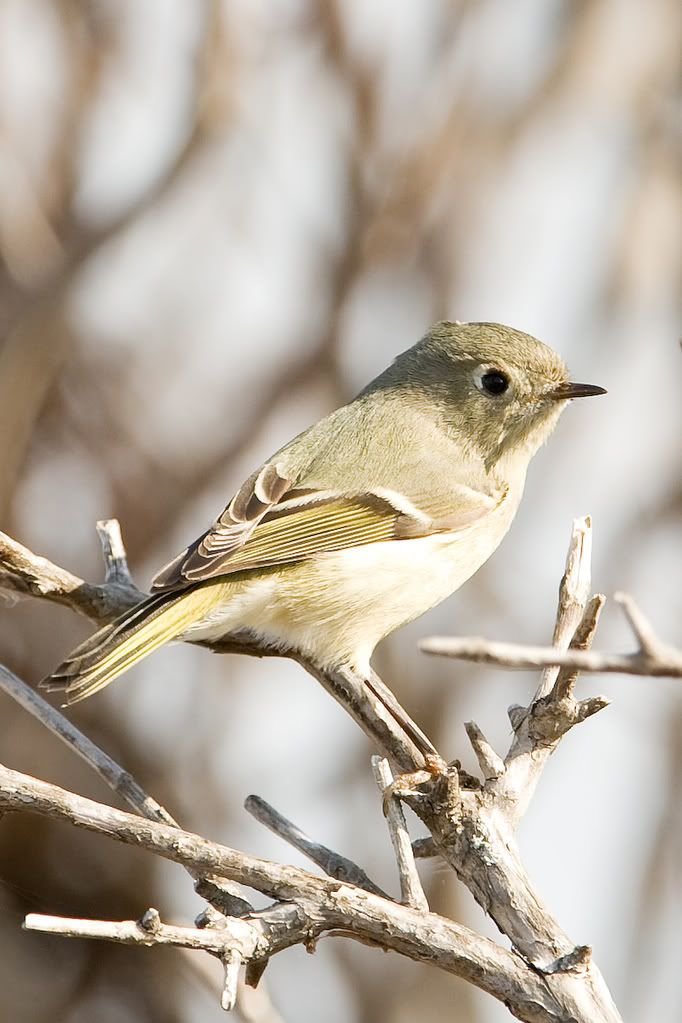 IMAGE: http://i239.photobucket.com/albums/ff66/mcgomez13/01_03-117.jpg