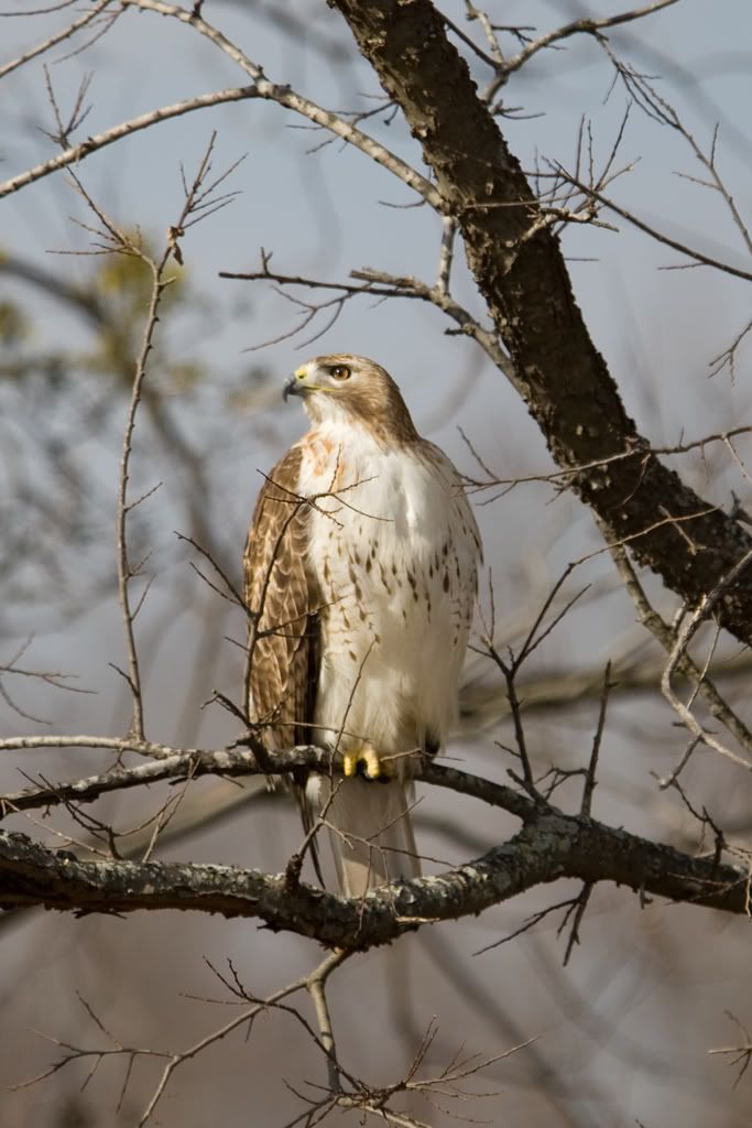 IMAGE: http://i239.photobucket.com/albums/ff66/mcgomez13/01_16-101.jpg