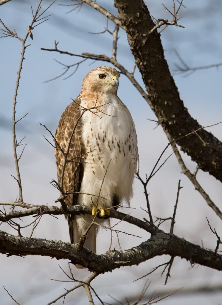 IMAGE: http://i239.photobucket.com/albums/ff66/mcgomez13/01_16-105.jpg