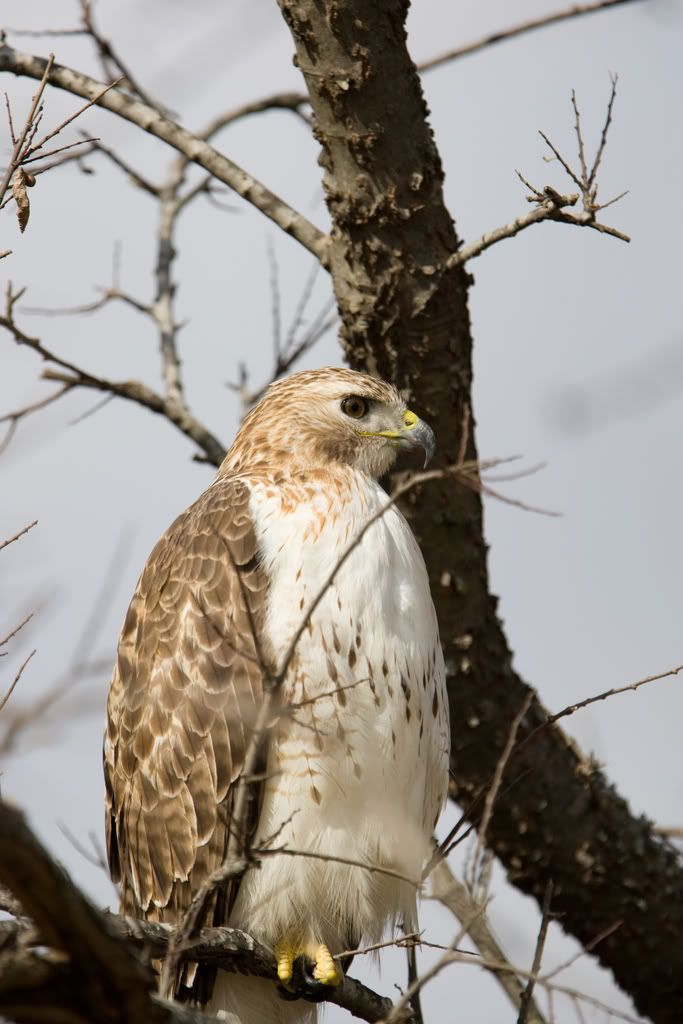 IMAGE: http://i239.photobucket.com/albums/ff66/mcgomez13/01_16-108.jpg