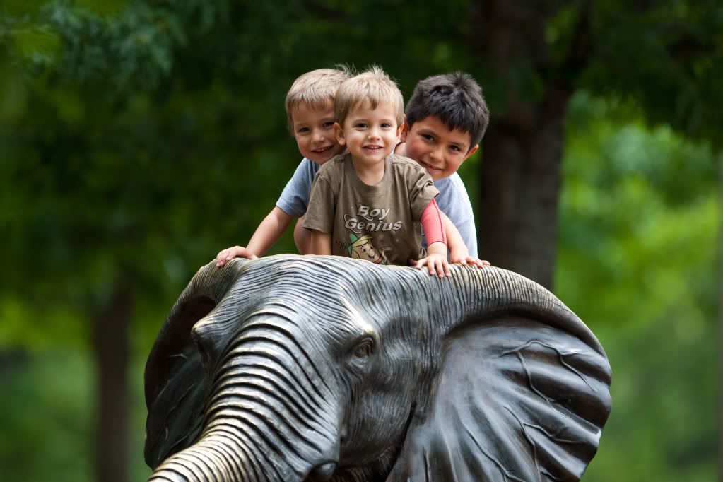 IMAGE: http://i239.photobucket.com/albums/ff66/mcgomez13/06_10_09Zoo-123.jpg