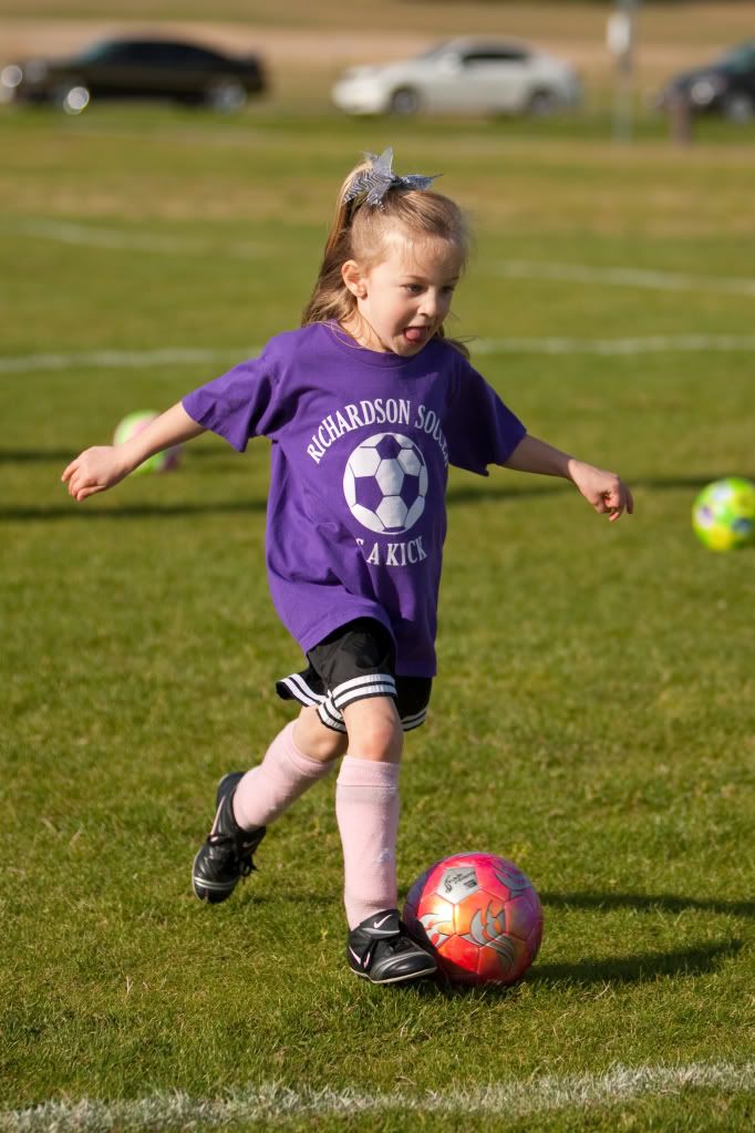 IMAGE: http://i239.photobucket.com/albums/ff66/mcgomez13/Butterflies-208.jpg