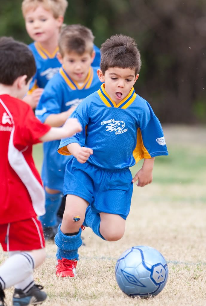 IMAGE: http://i239.photobucket.com/albums/ff66/mcgomez13/Cosmos09-200.jpg