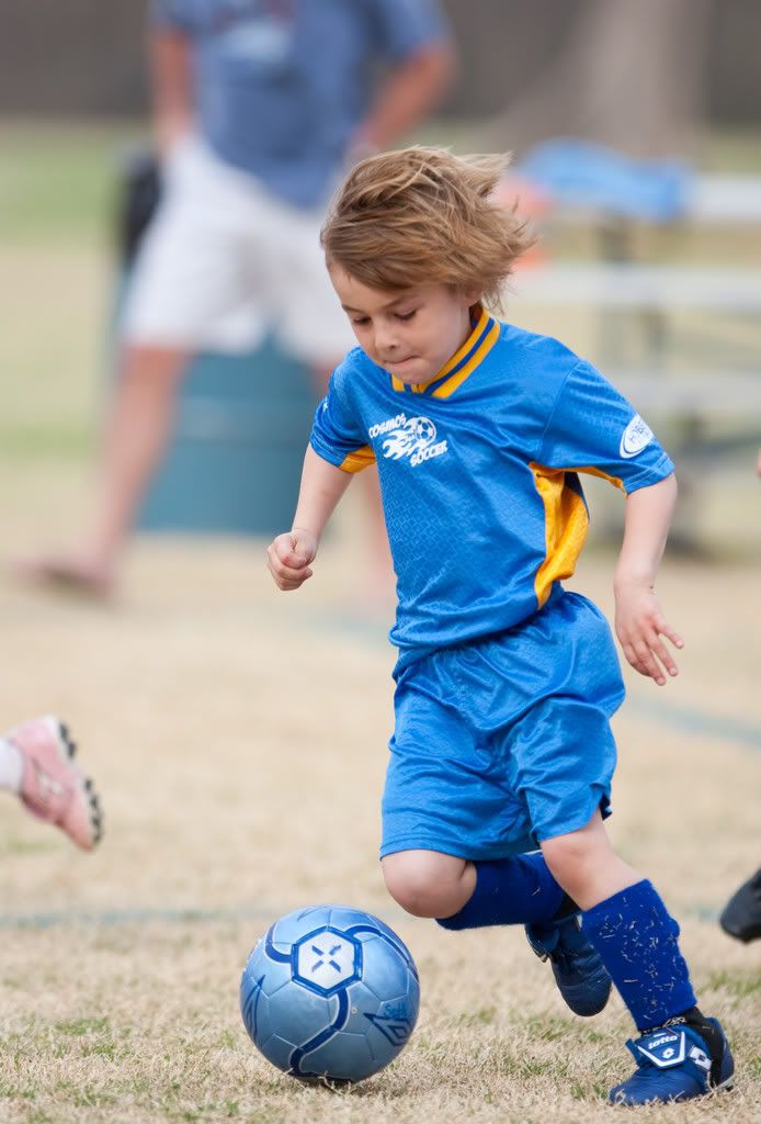 IMAGE: http://i239.photobucket.com/albums/ff66/mcgomez13/Cosmos09-277.jpg