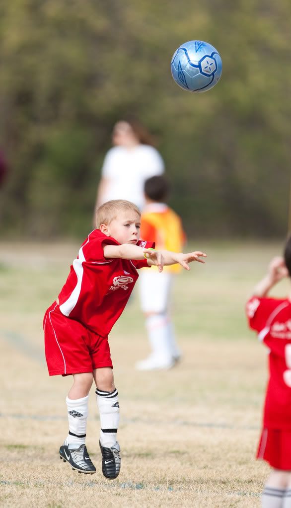 IMAGE: http://i239.photobucket.com/albums/ff66/mcgomez13/Cosmos09-334.jpg