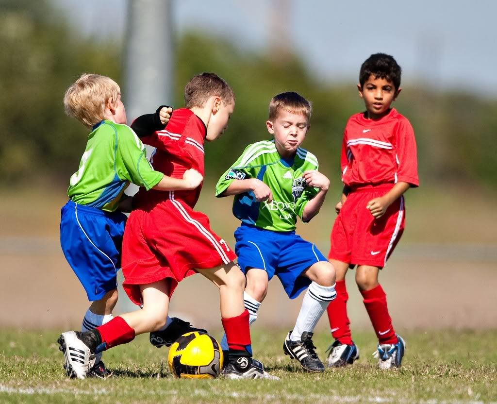 IMAGE: http://i239.photobucket.com/albums/ff66/mcgomez13/Dragons-2002.jpg