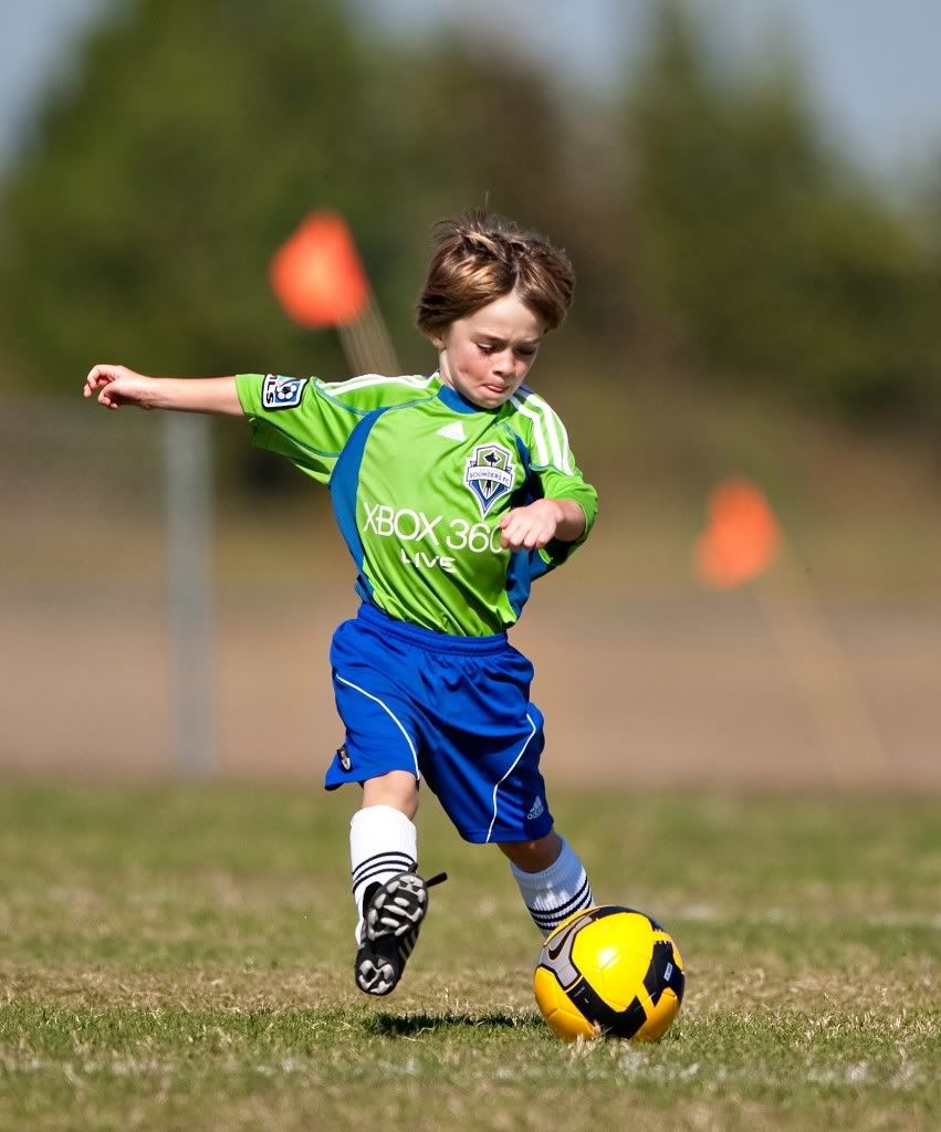 IMAGE: http://i239.photobucket.com/albums/ff66/mcgomez13/Dragons-2037.jpg