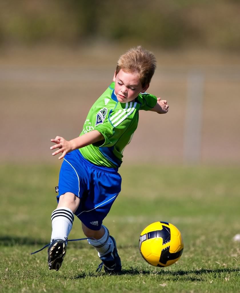 IMAGE: http://i239.photobucket.com/albums/ff66/mcgomez13/Dragons-2091.jpg