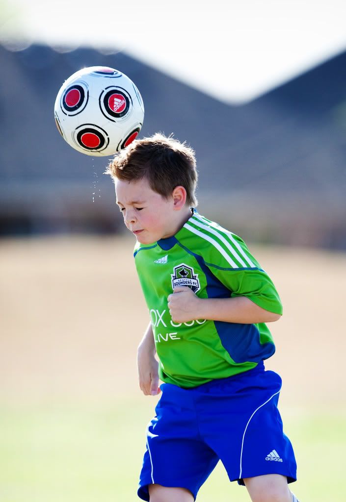 IMAGE: http://i239.photobucket.com/albums/ff66/mcgomez13/DragonsRYSA-1-2.jpg