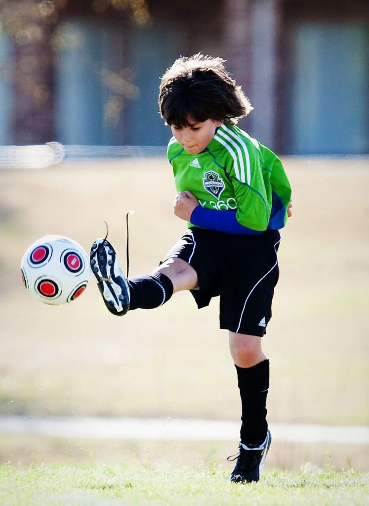 IMAGE: http://i239.photobucket.com/albums/ff66/mcgomez13/DragonsRYSA-3-2.jpg