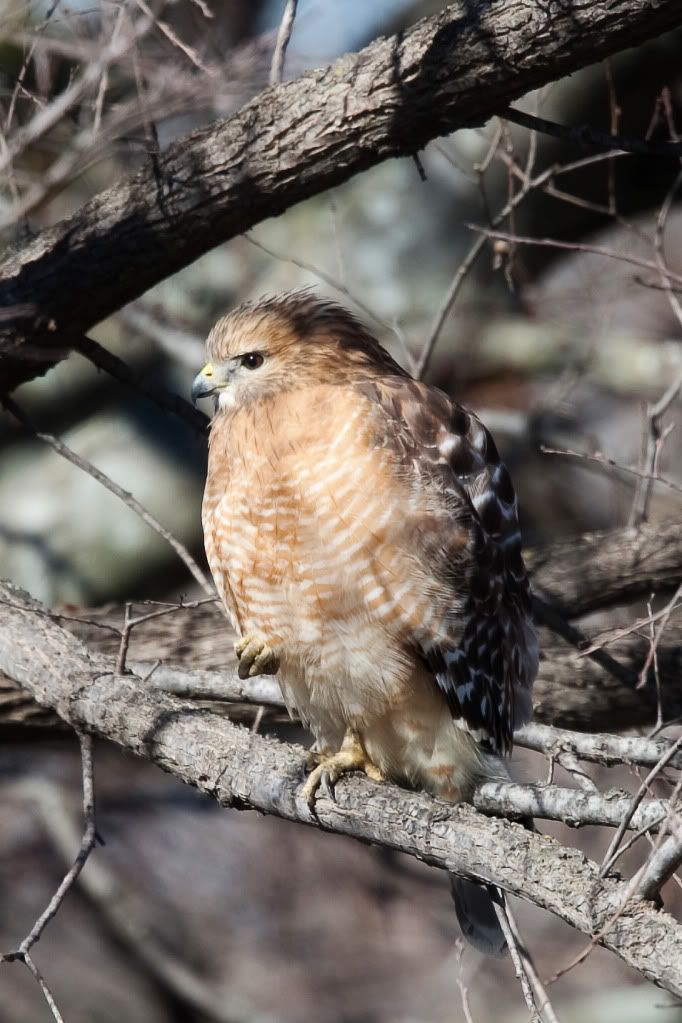 IMAGE: http://i239.photobucket.com/albums/ff66/mcgomez13/FOF_3161.jpg