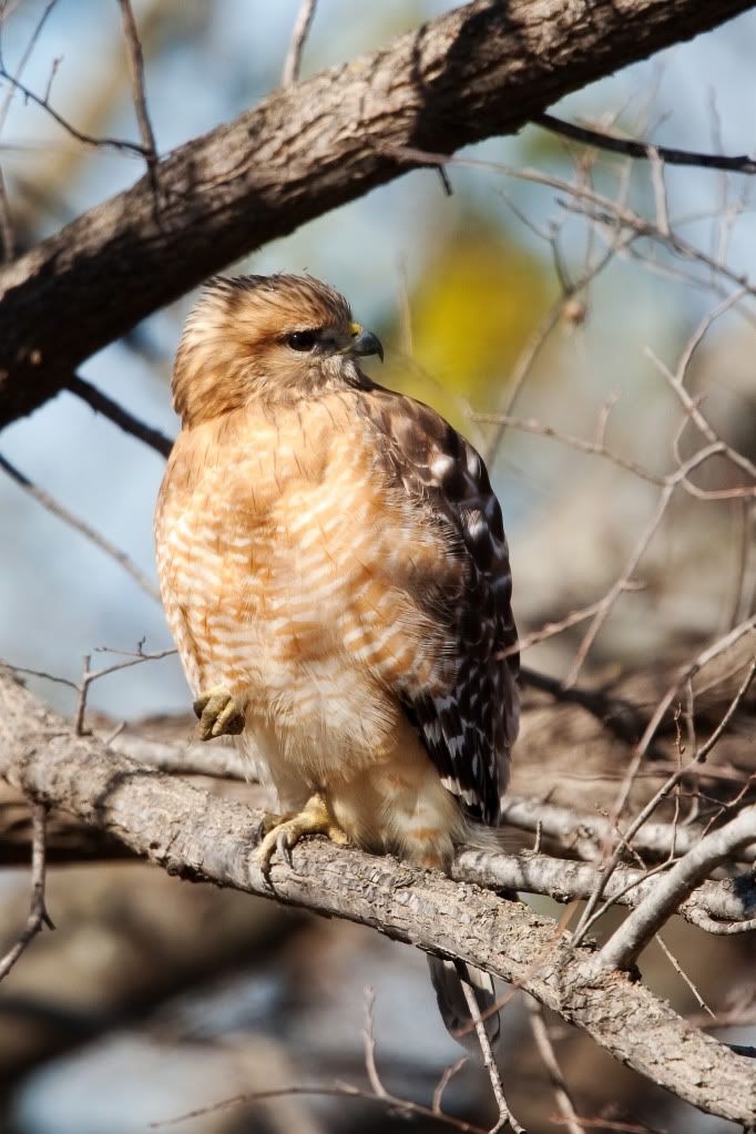 IMAGE: http://i239.photobucket.com/albums/ff66/mcgomez13/FOF_3175.jpg