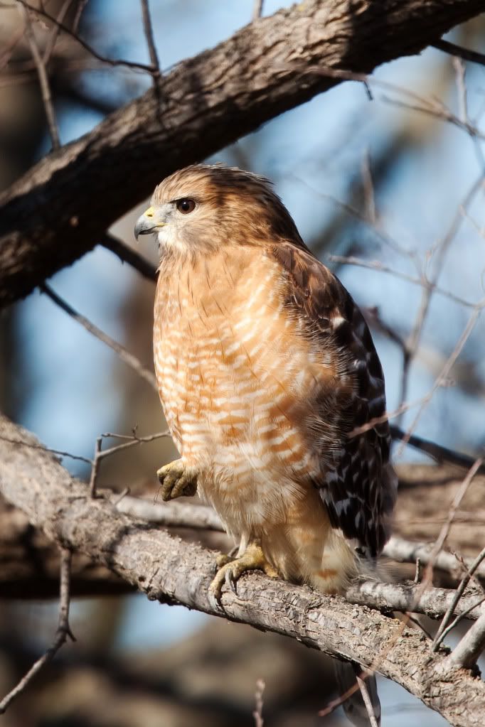 IMAGE: http://i239.photobucket.com/albums/ff66/mcgomez13/FOF_3180.jpg