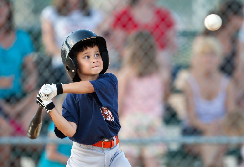 IMAGE: http://i239.photobucket.com/albums/ff66/mcgomez13/LTigers10-295.jpg