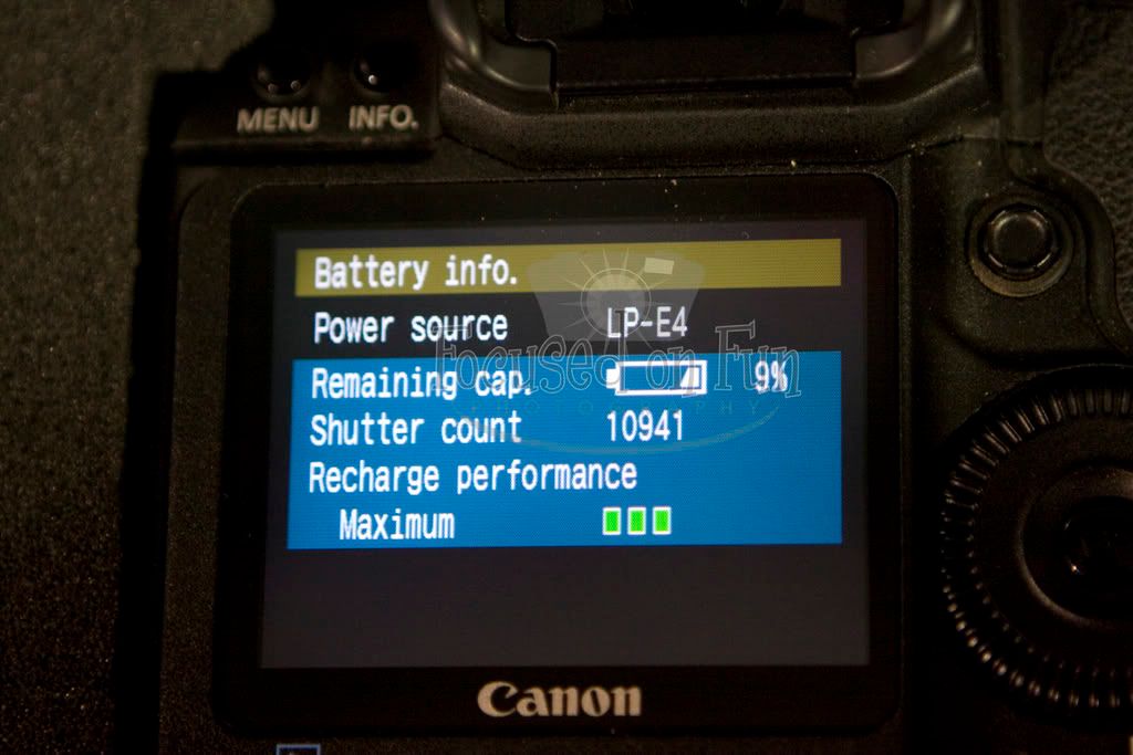 IMAGE: http://i239.photobucket.com/albums/ff66/mcgomez13/MarkIIIBattery.jpg