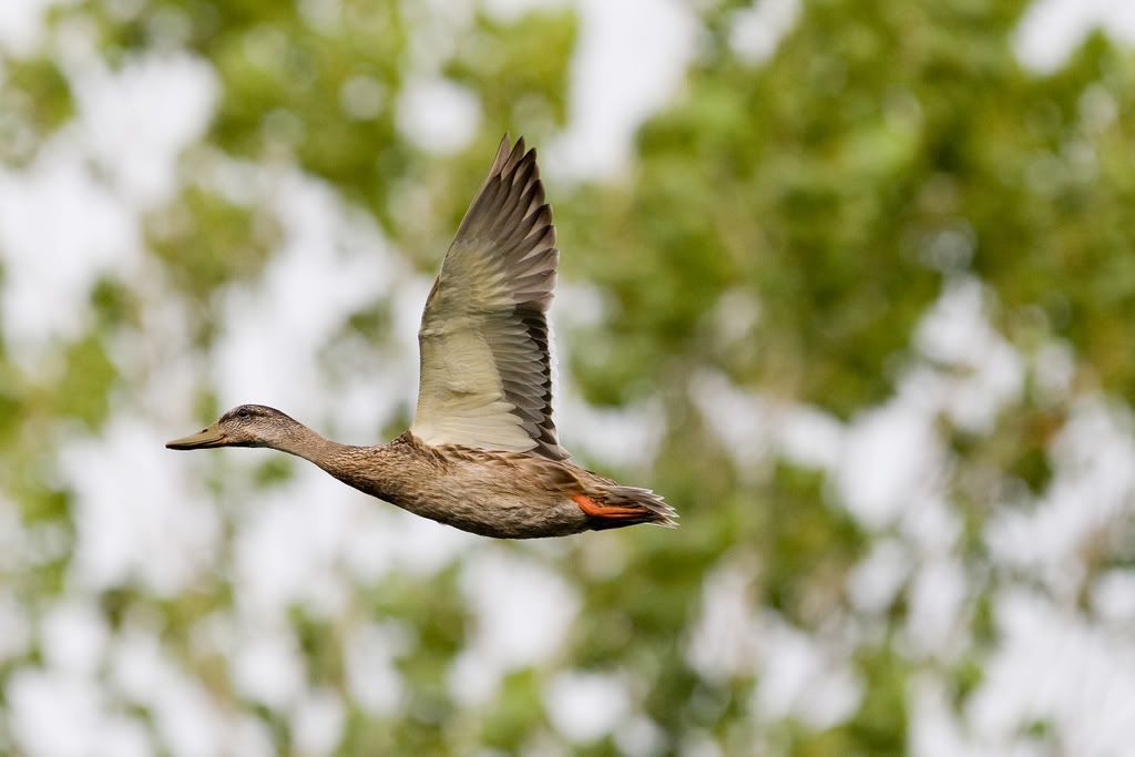 IMAGE: http://i239.photobucket.com/albums/ff66/mcgomez13/Sept1-108.jpg