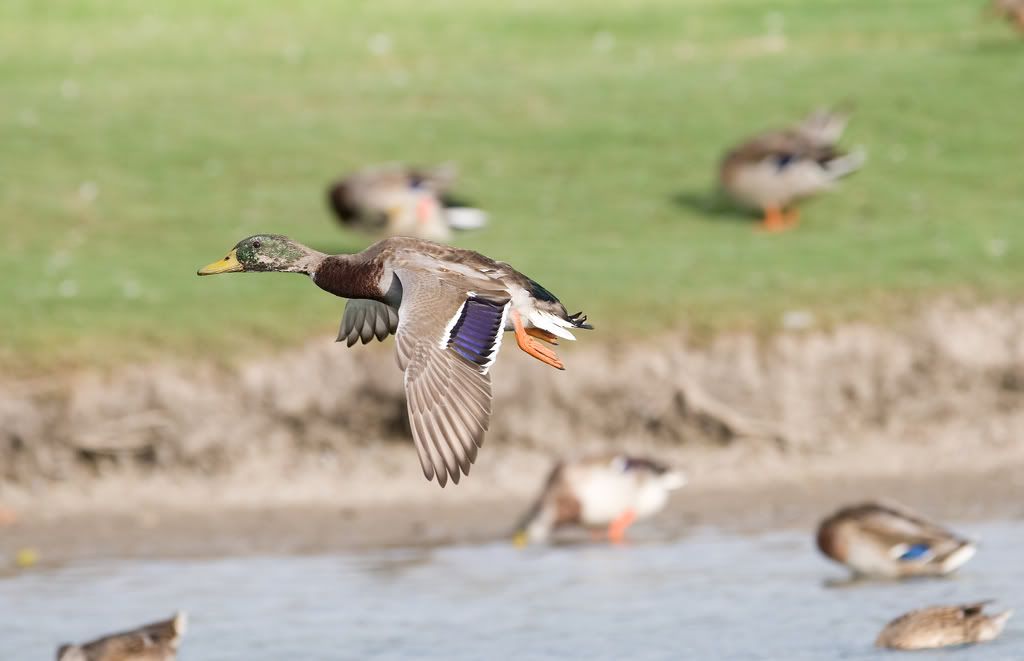 IMAGE: http://i239.photobucket.com/albums/ff66/mcgomez13/Sept1-118.jpg